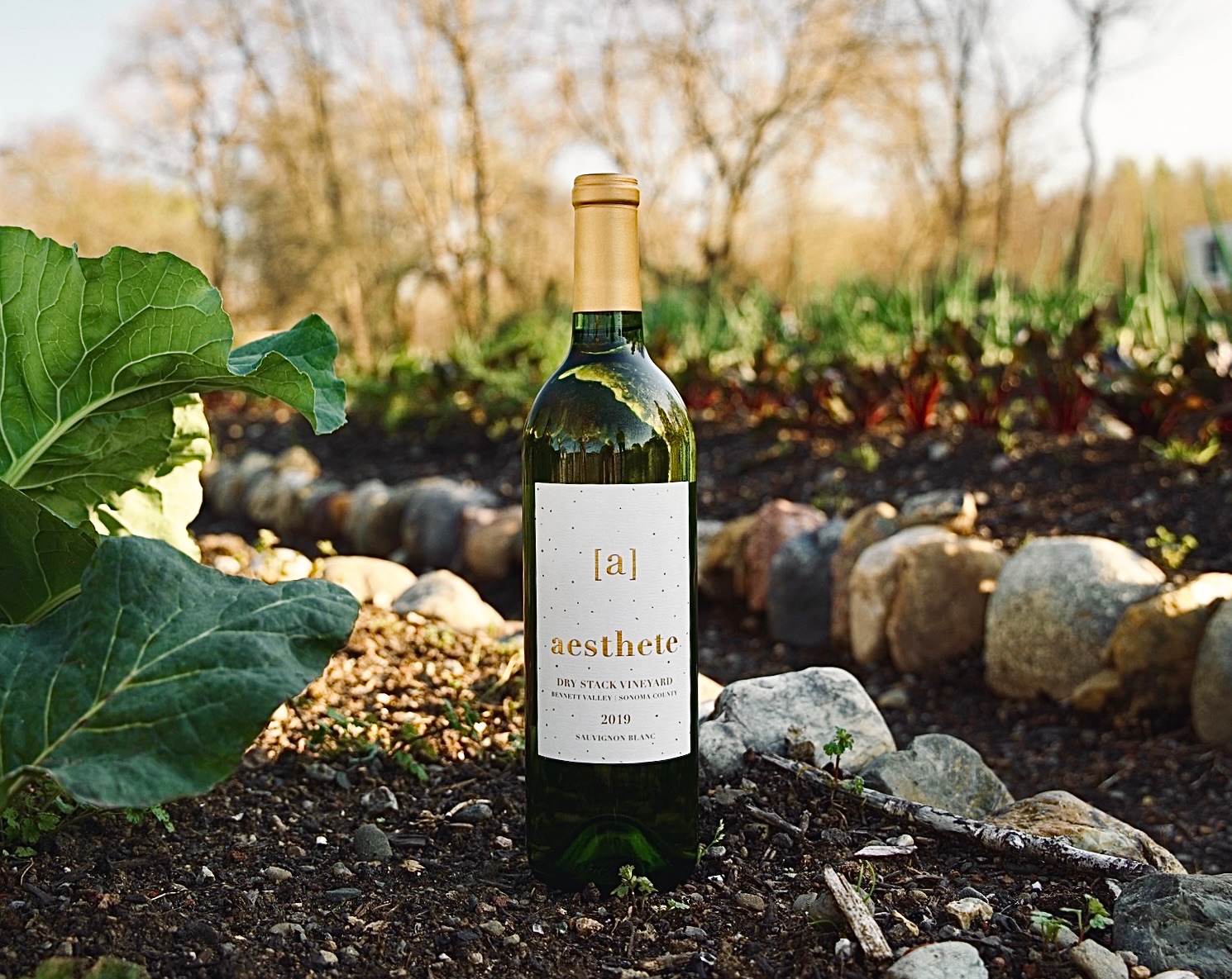 Wineries in Dry Creek Valley