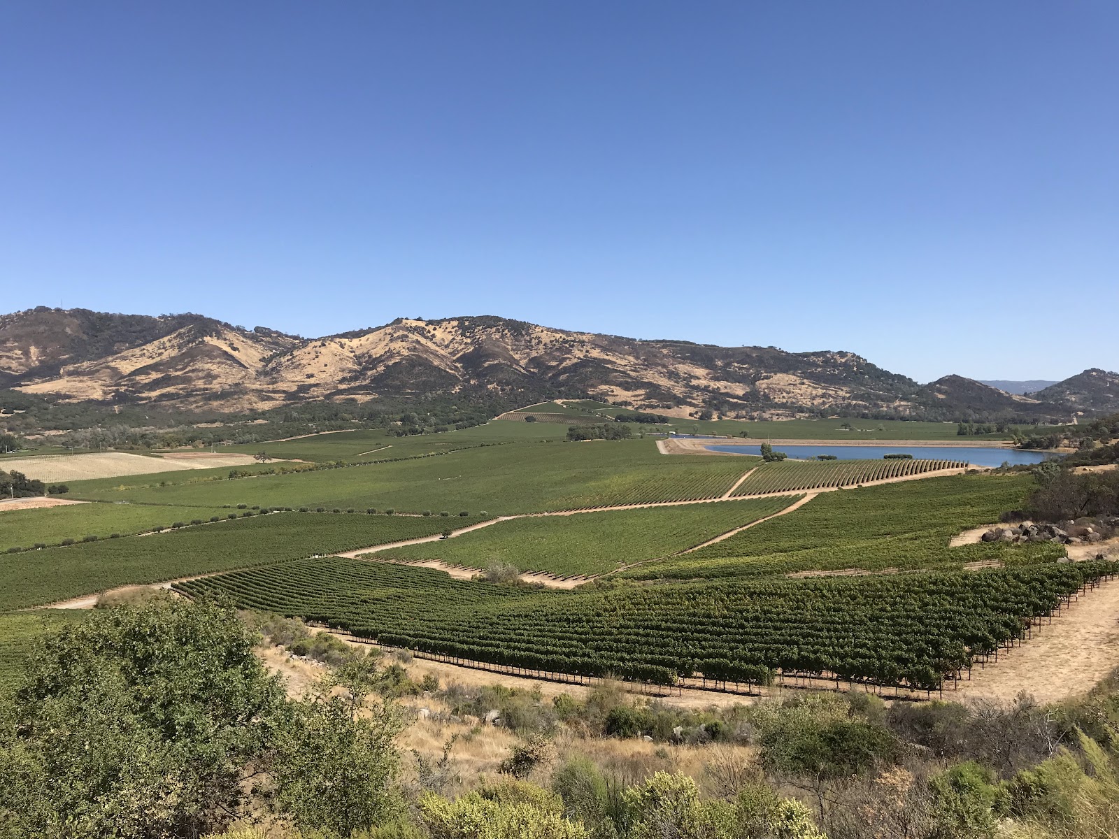 Photo of Antinori Napa Valley
