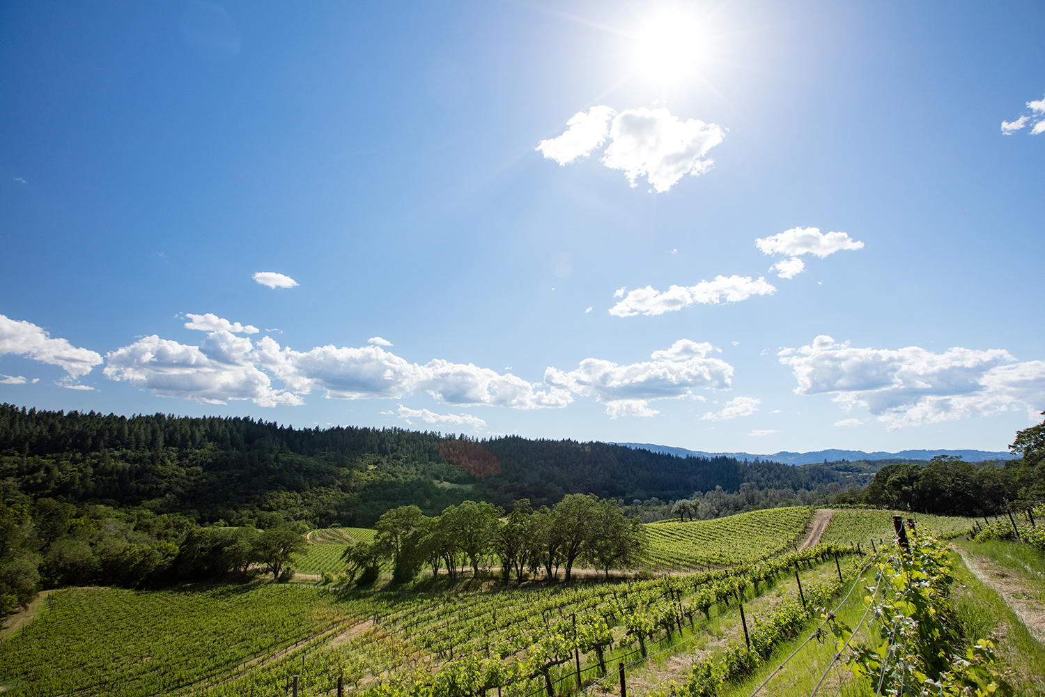 Aonair Winery & Caves