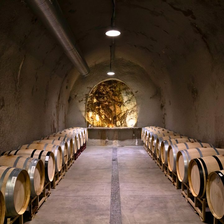 Photo of Baldacci Family Vineyards