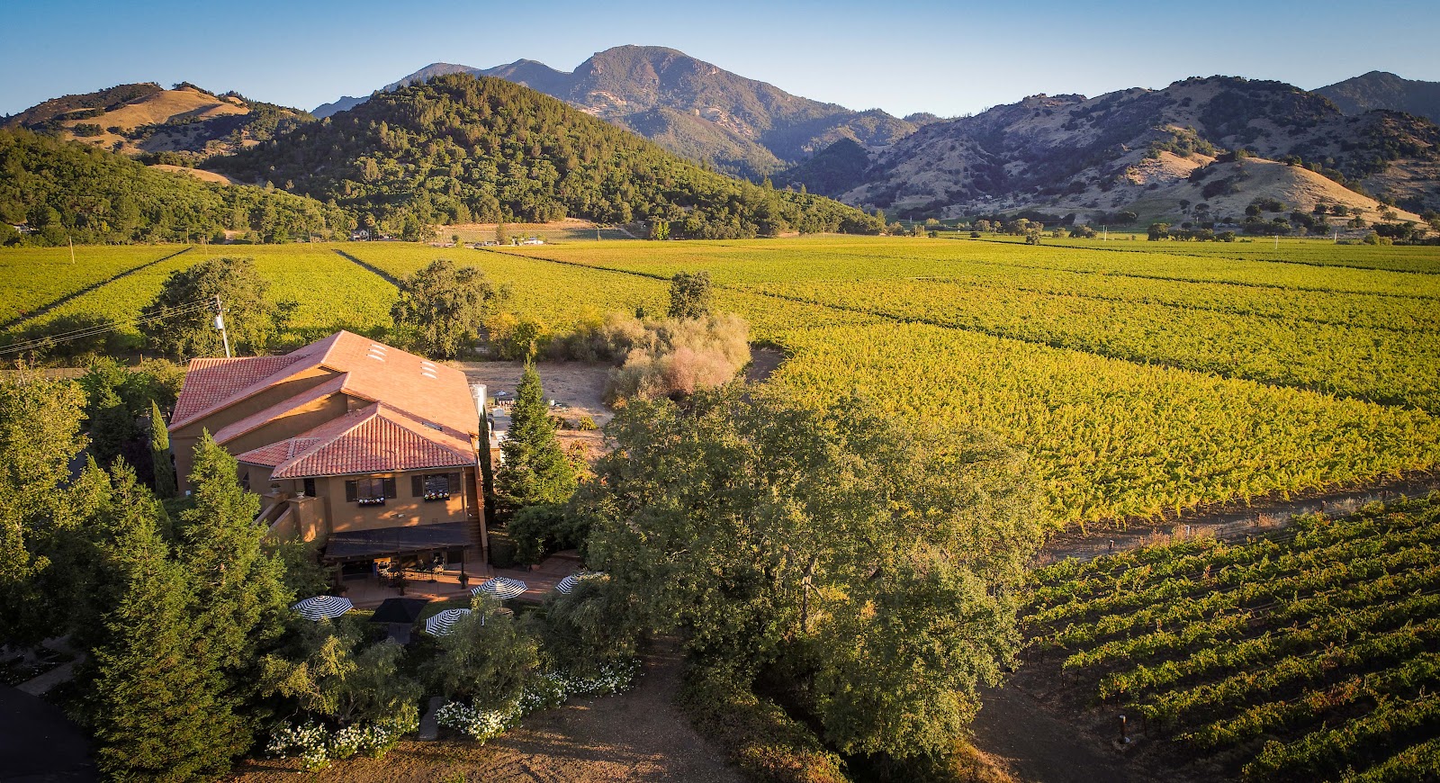 Bennett Lane Winery