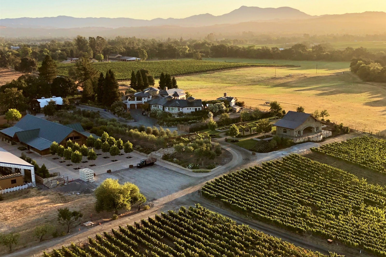 Photo of Bricoleur Vineyards
