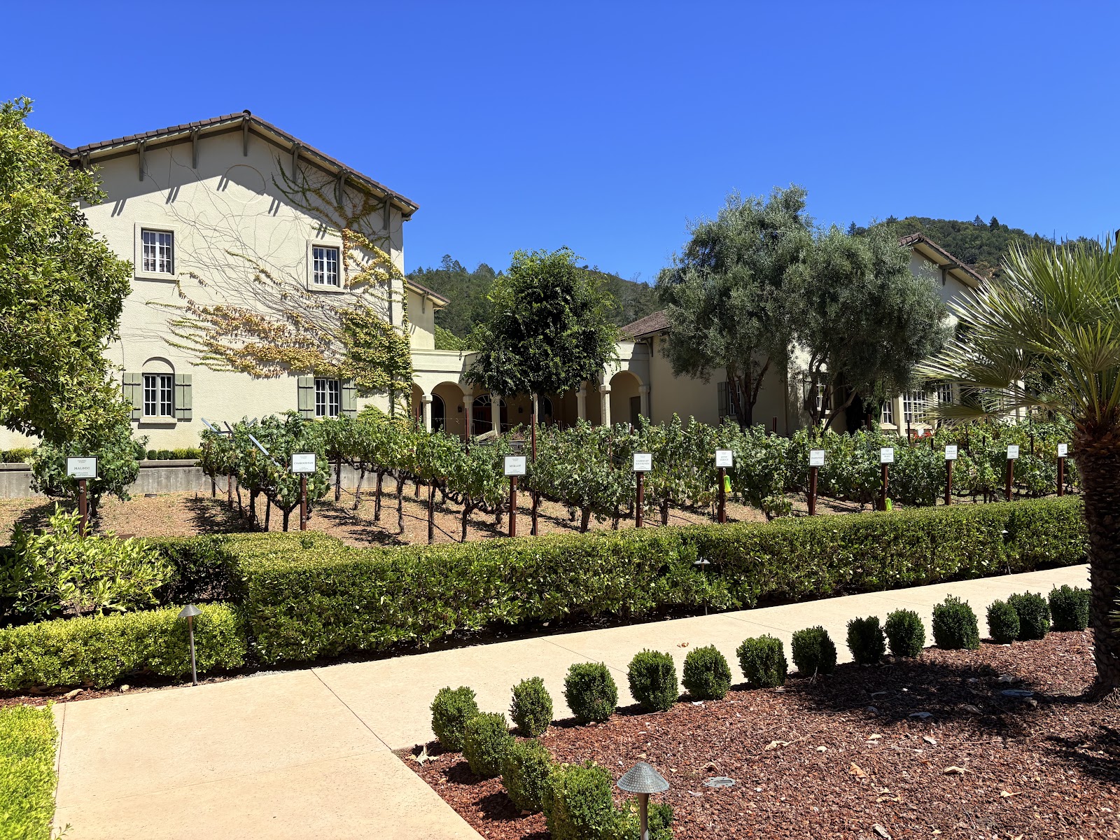Photo of Chateau St. Jean Winery