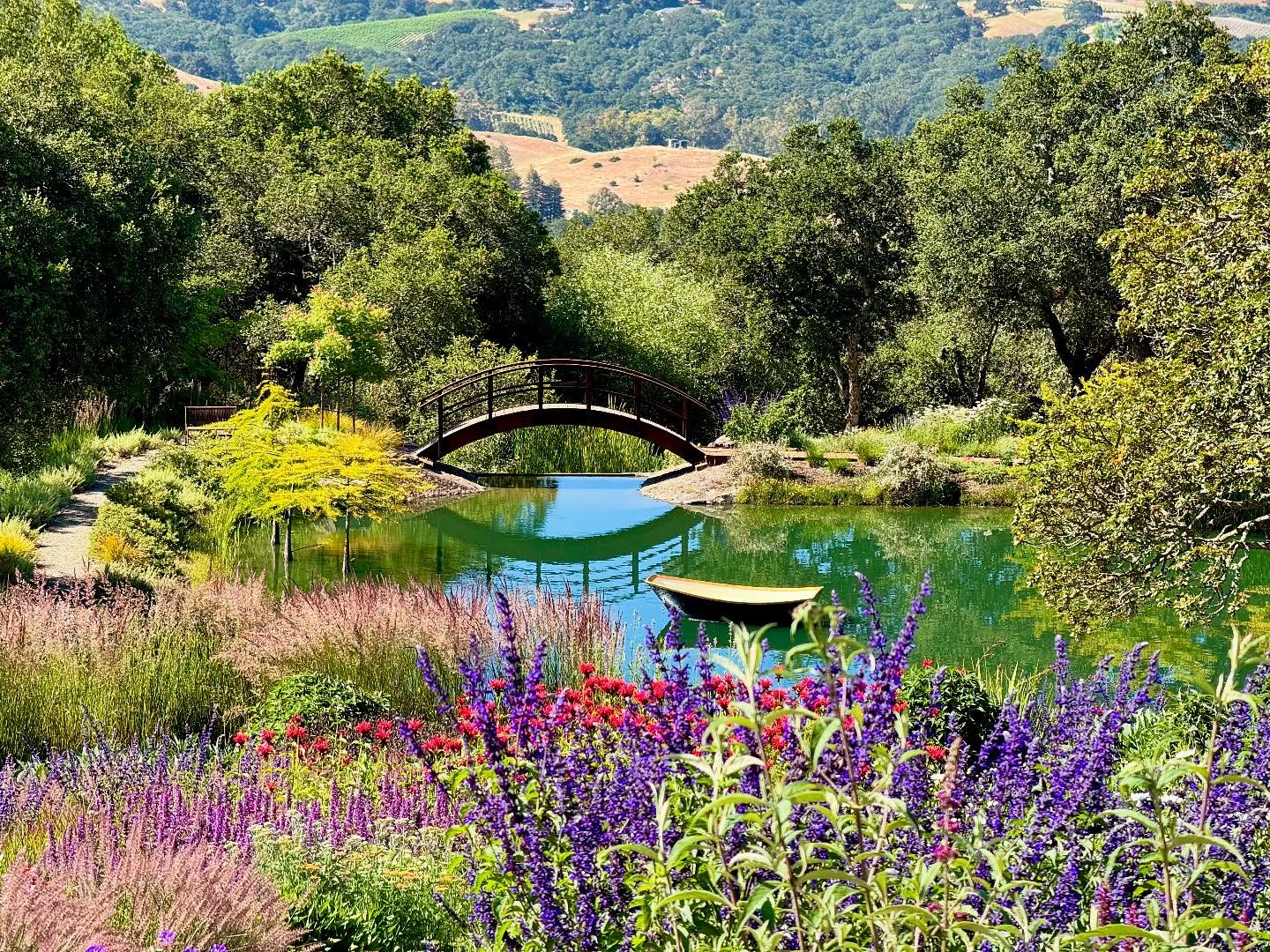 Photo of Coursey Graves Estate Winery