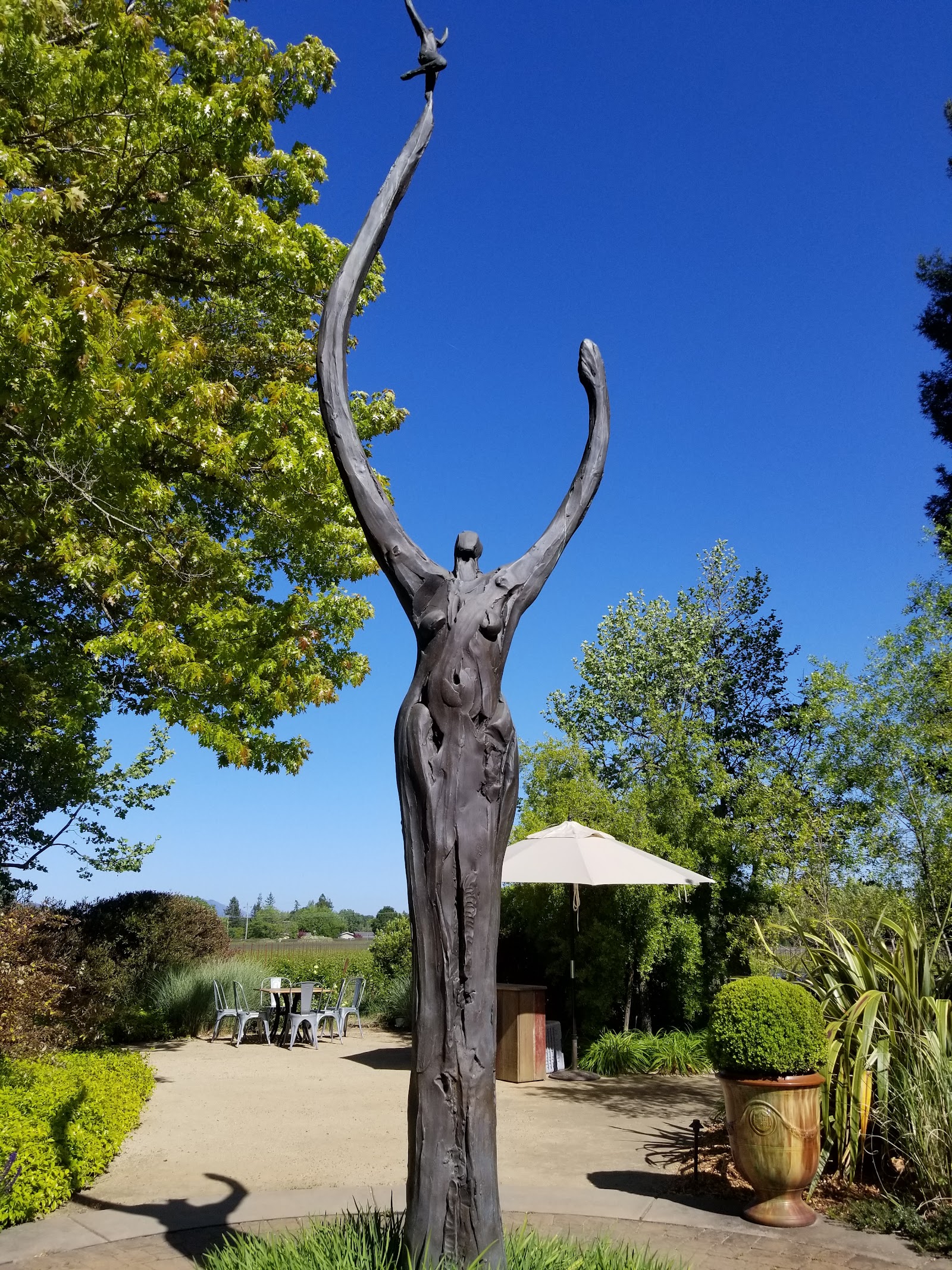 DeLoach Vineyards