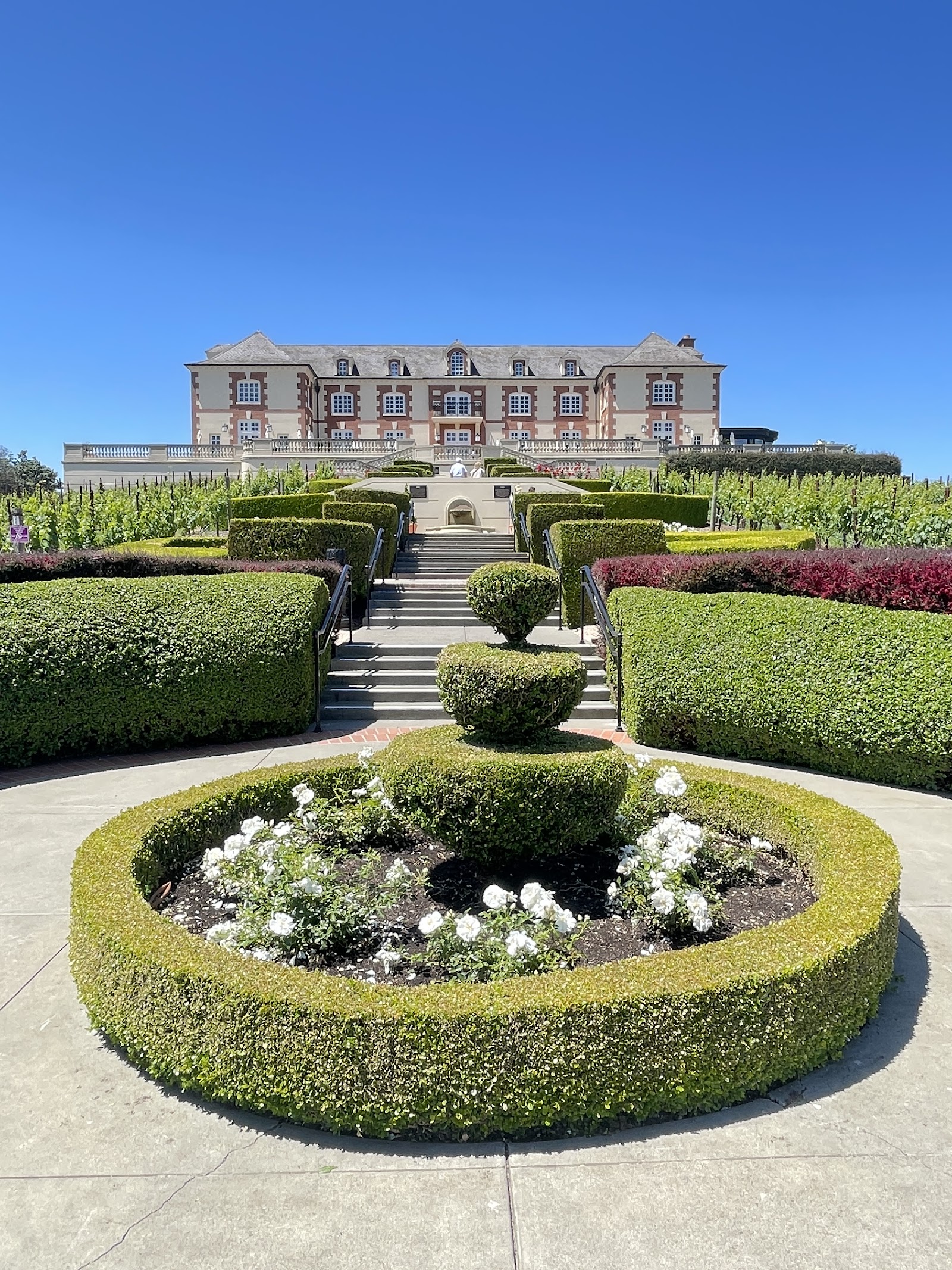 Photo of Domaine Carneros