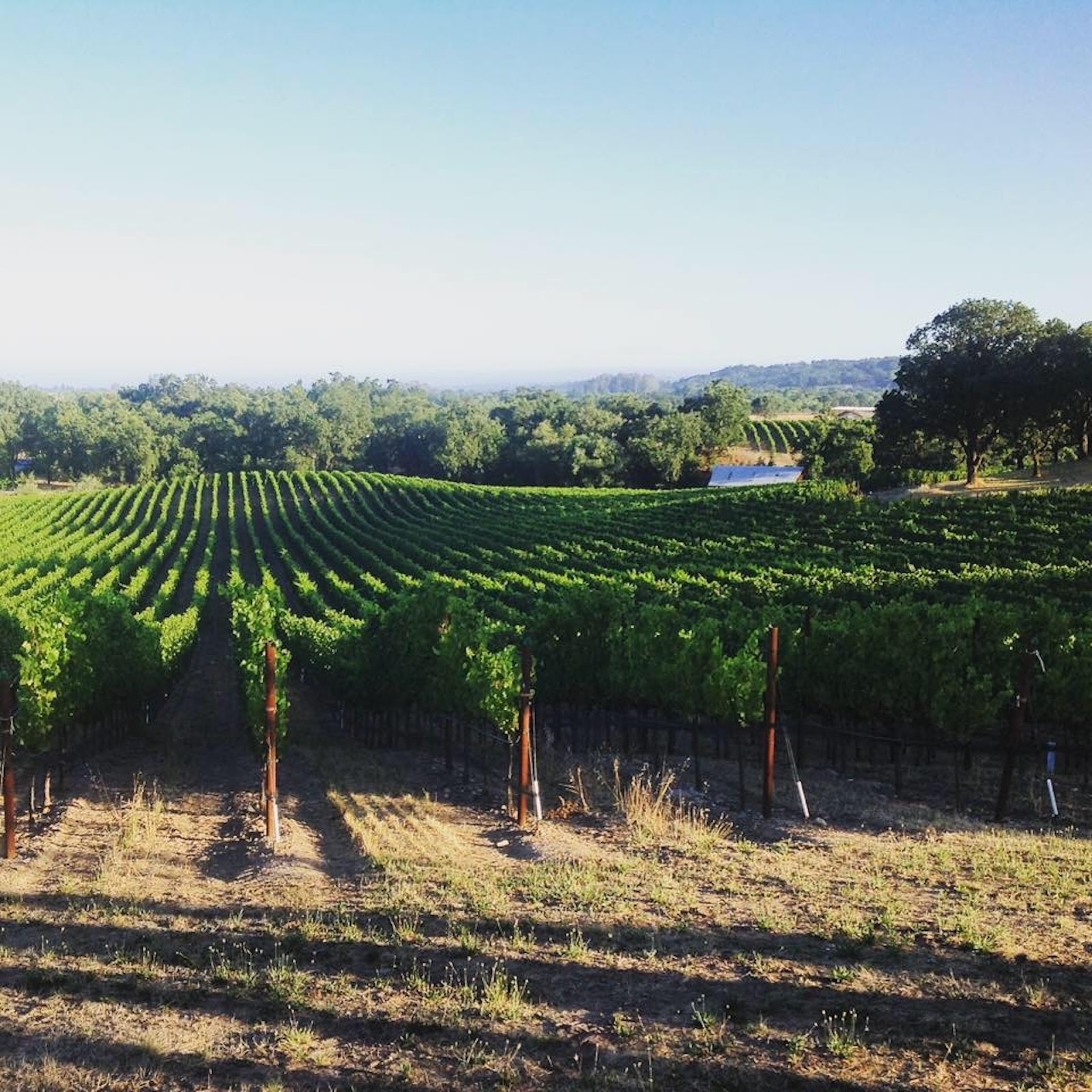 Photo of Domaine de la Rivière