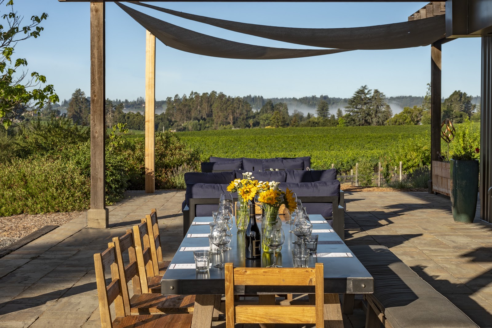 Photo of Emeritus Vineyards