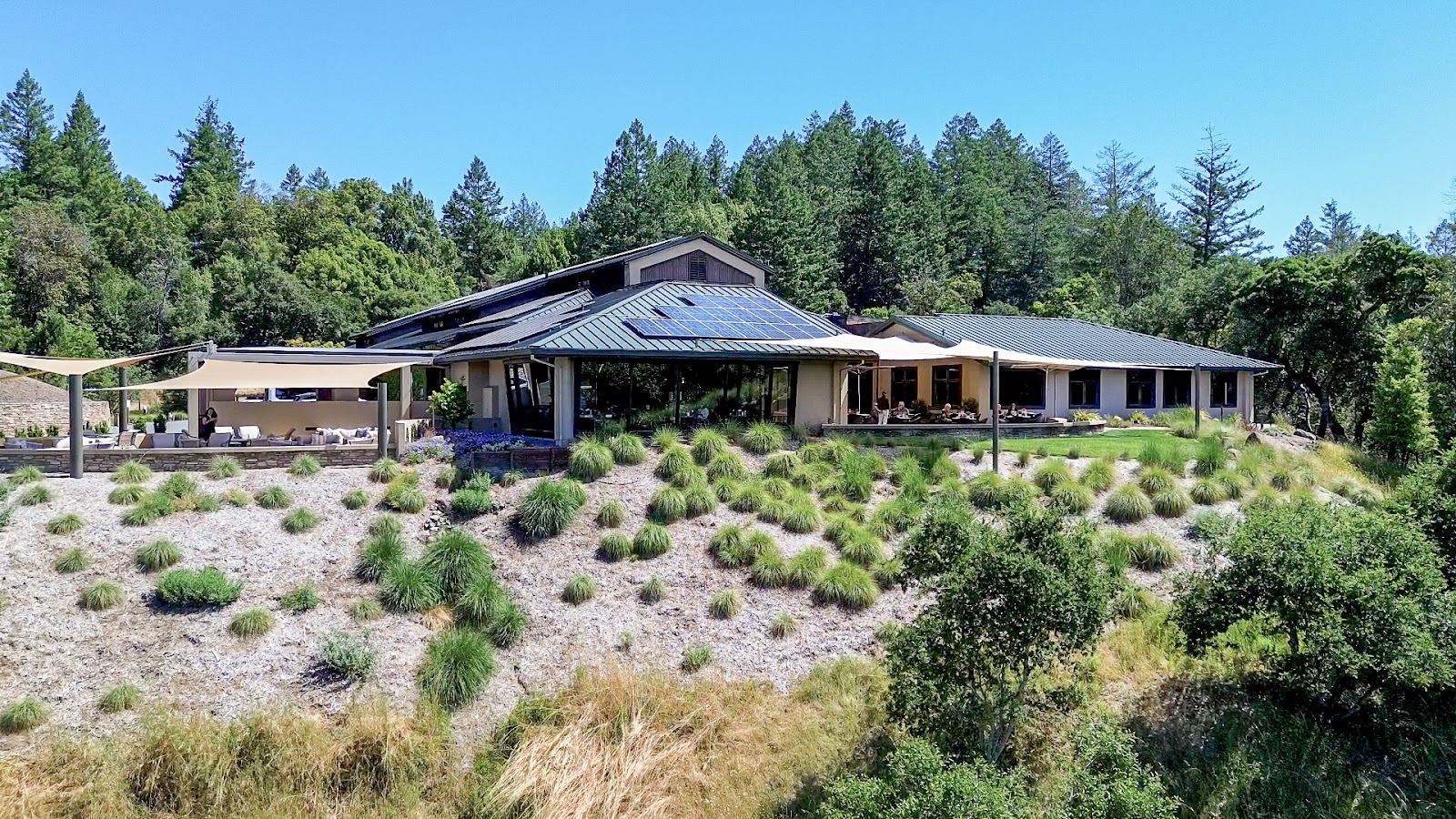 Gary Farrell Vineyards