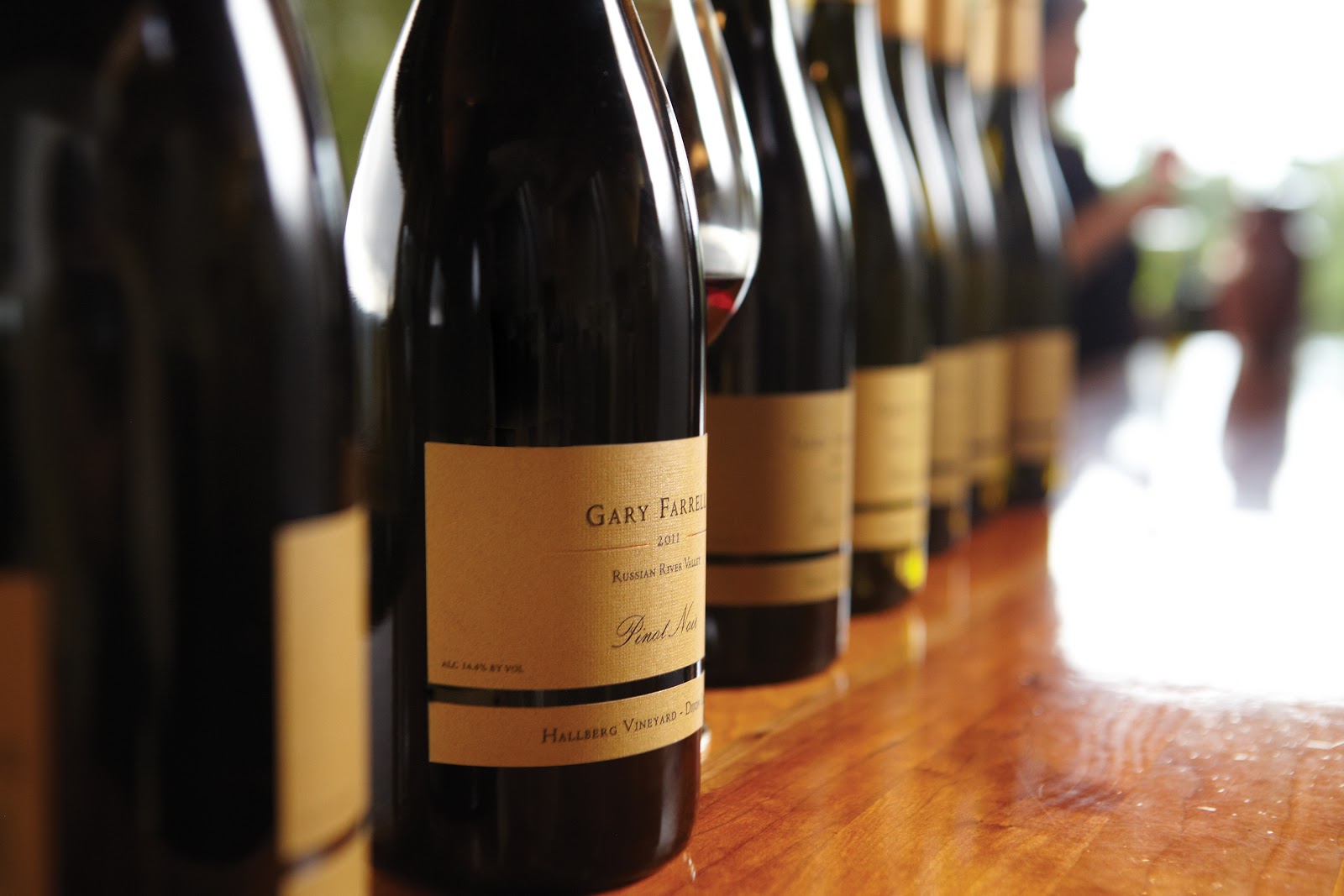 Photo of Gary Farrell Vineyards
