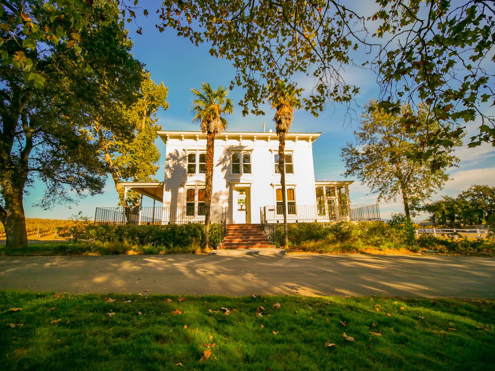 Photo of Hendry Winery