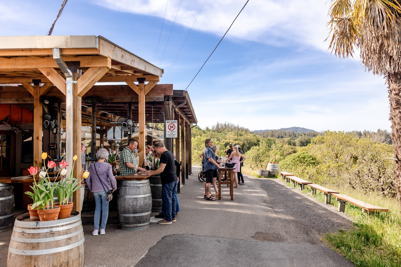 Iron Horse Vineyards