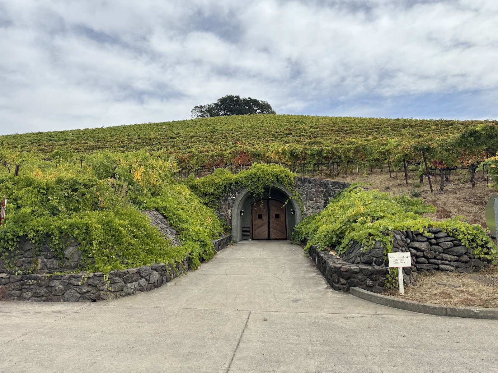 Photo of Kunde Family Winery
