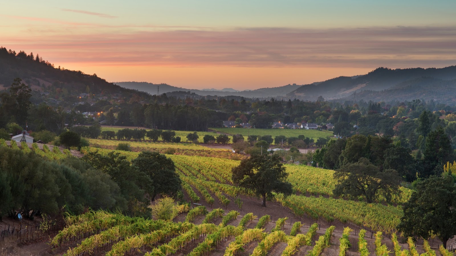 Landmark Vineyards