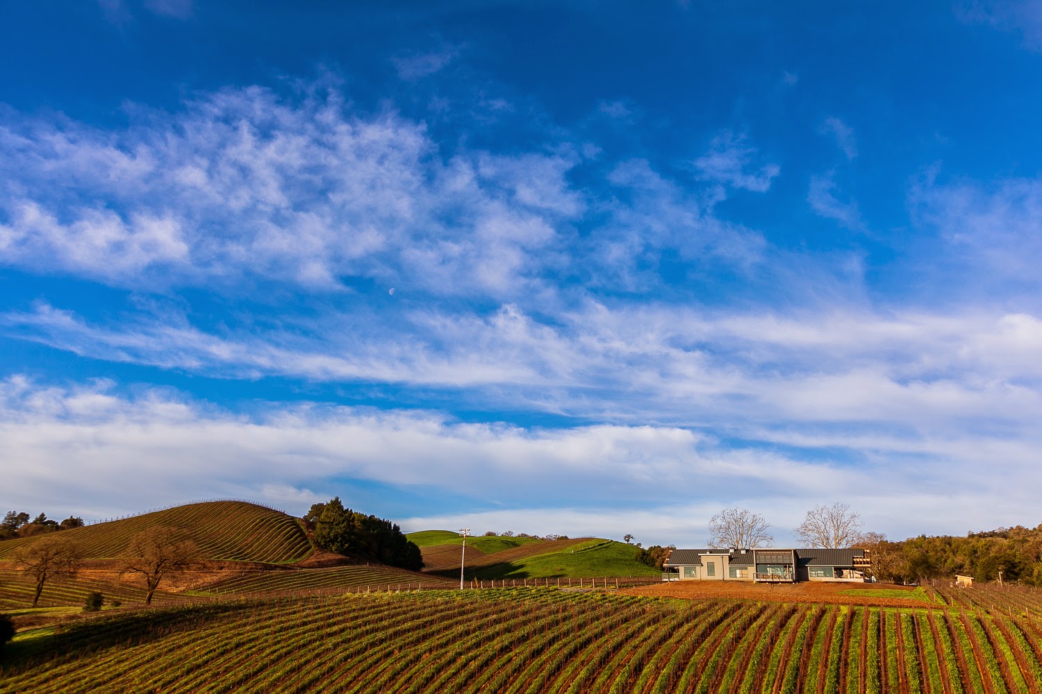 MacRostie Winery Estate House