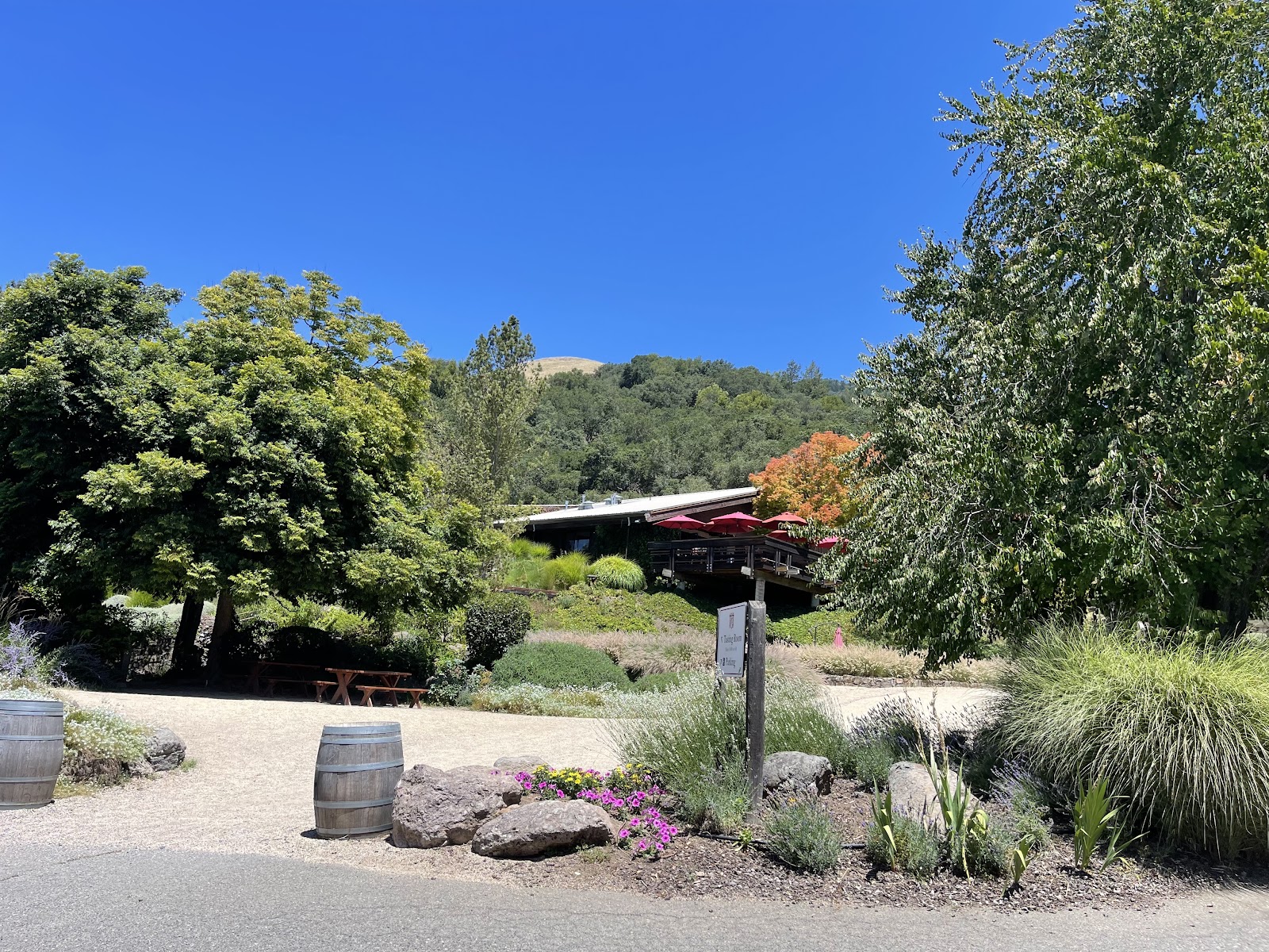 Photo of Matanzas Creek Winery