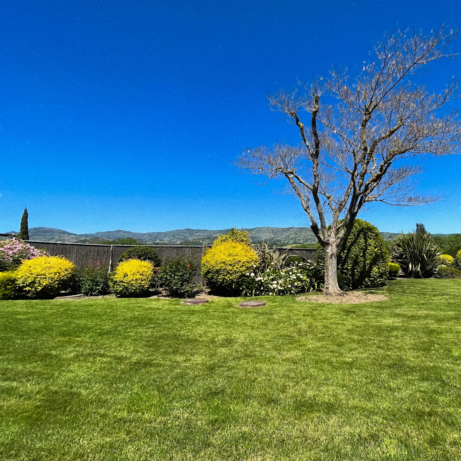Photo of Monticello Vineyards