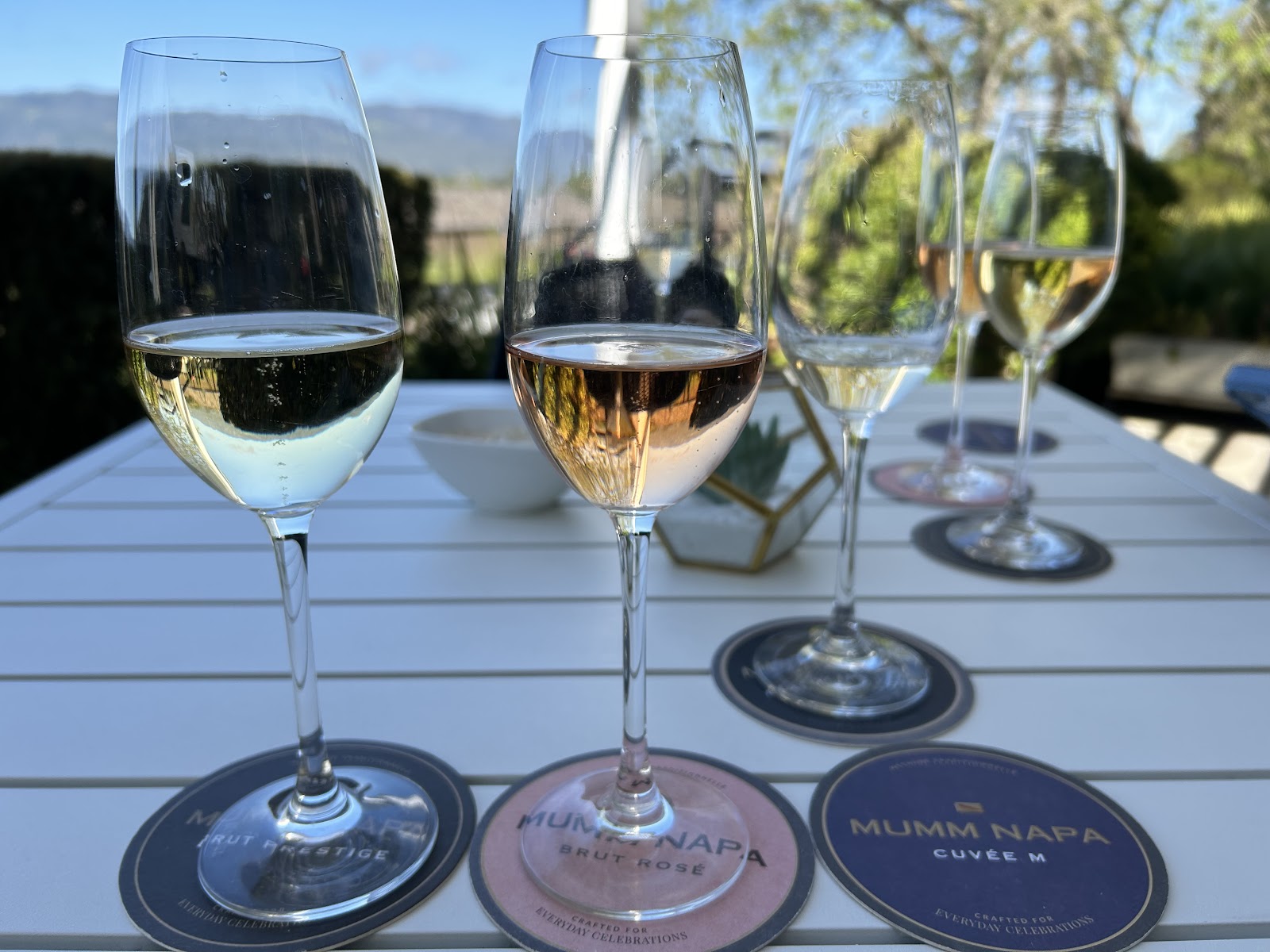 Photo of Mumm Napa