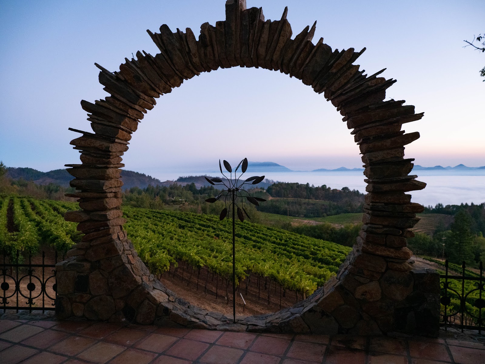 Paloma Vineyard