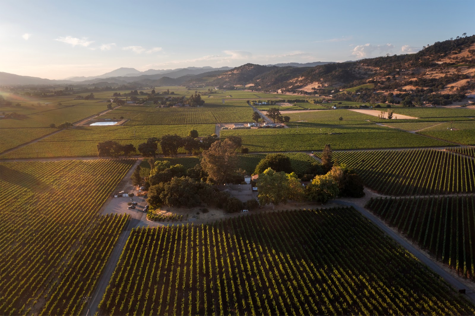 PlumpJack Winery