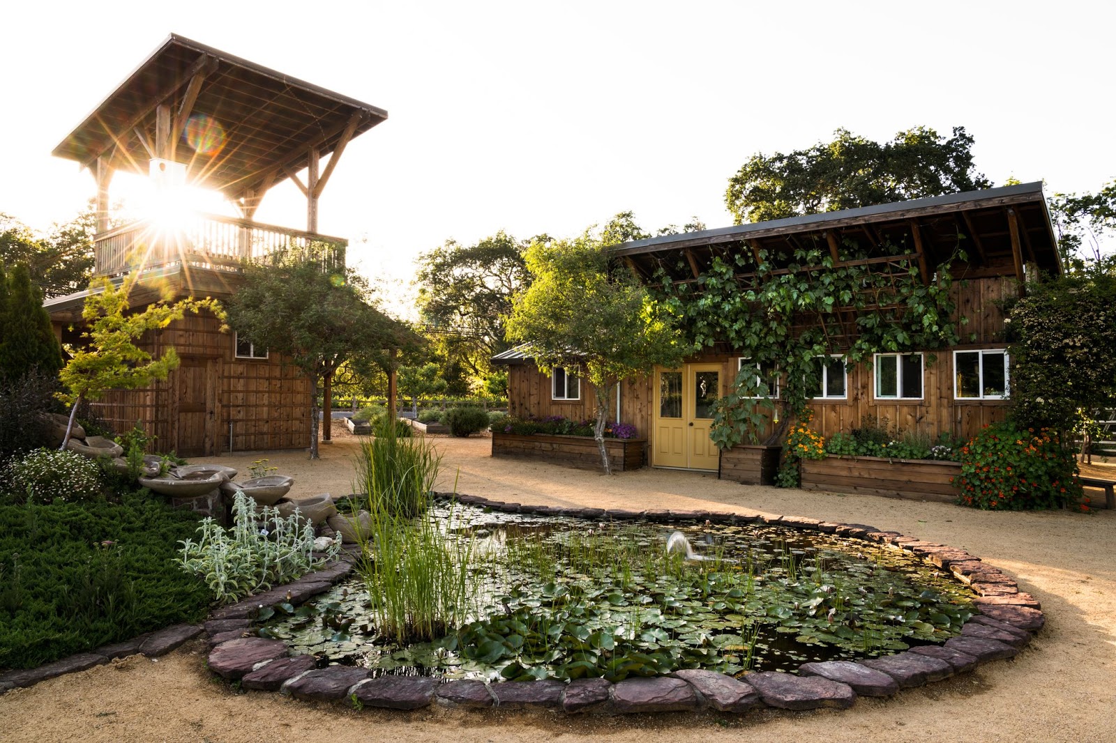 Quivira Vineyards