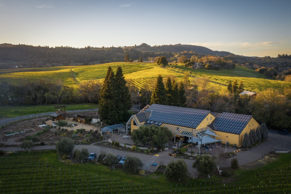 Photo of Quivira Vineyards