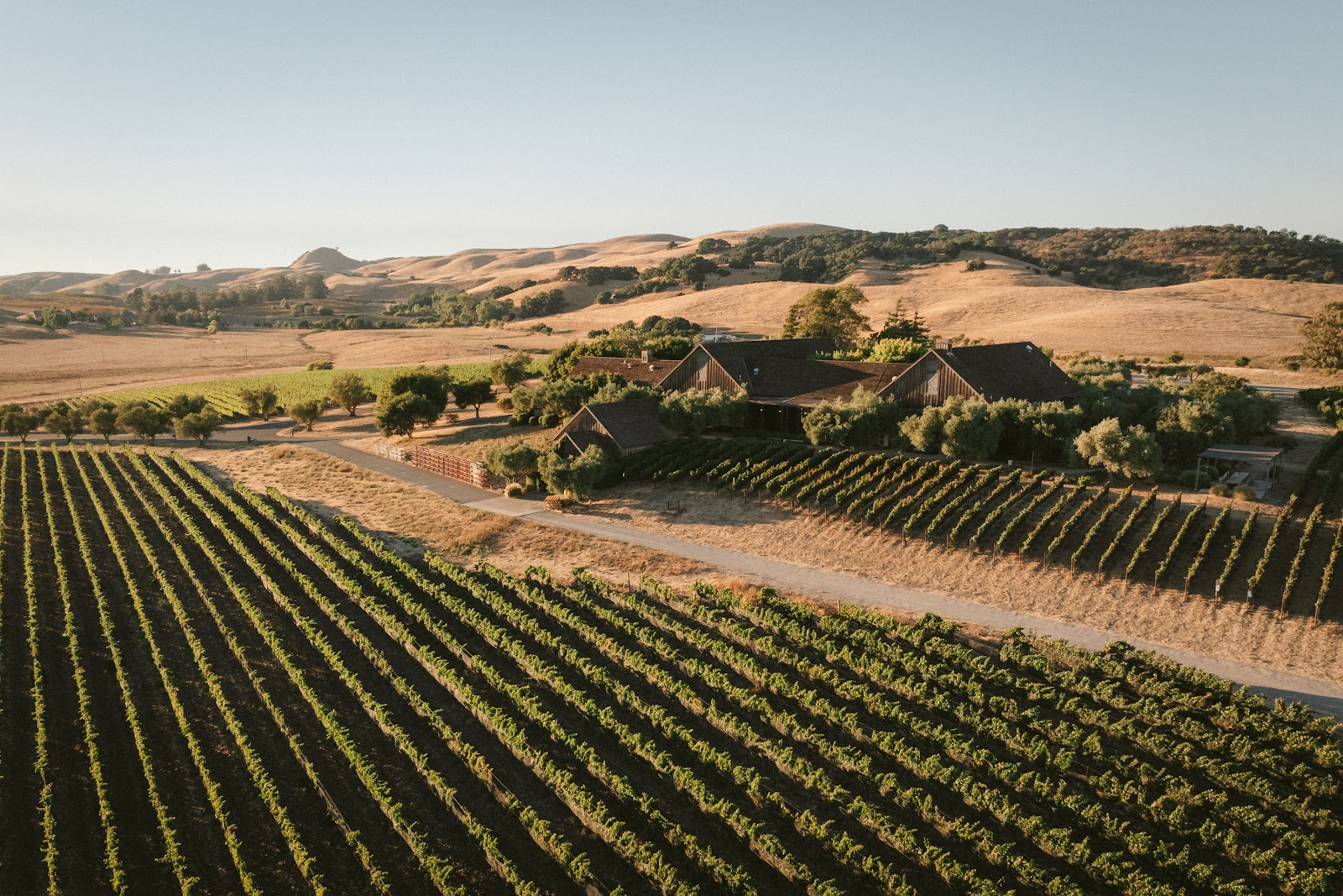 Ram's Gate Winery