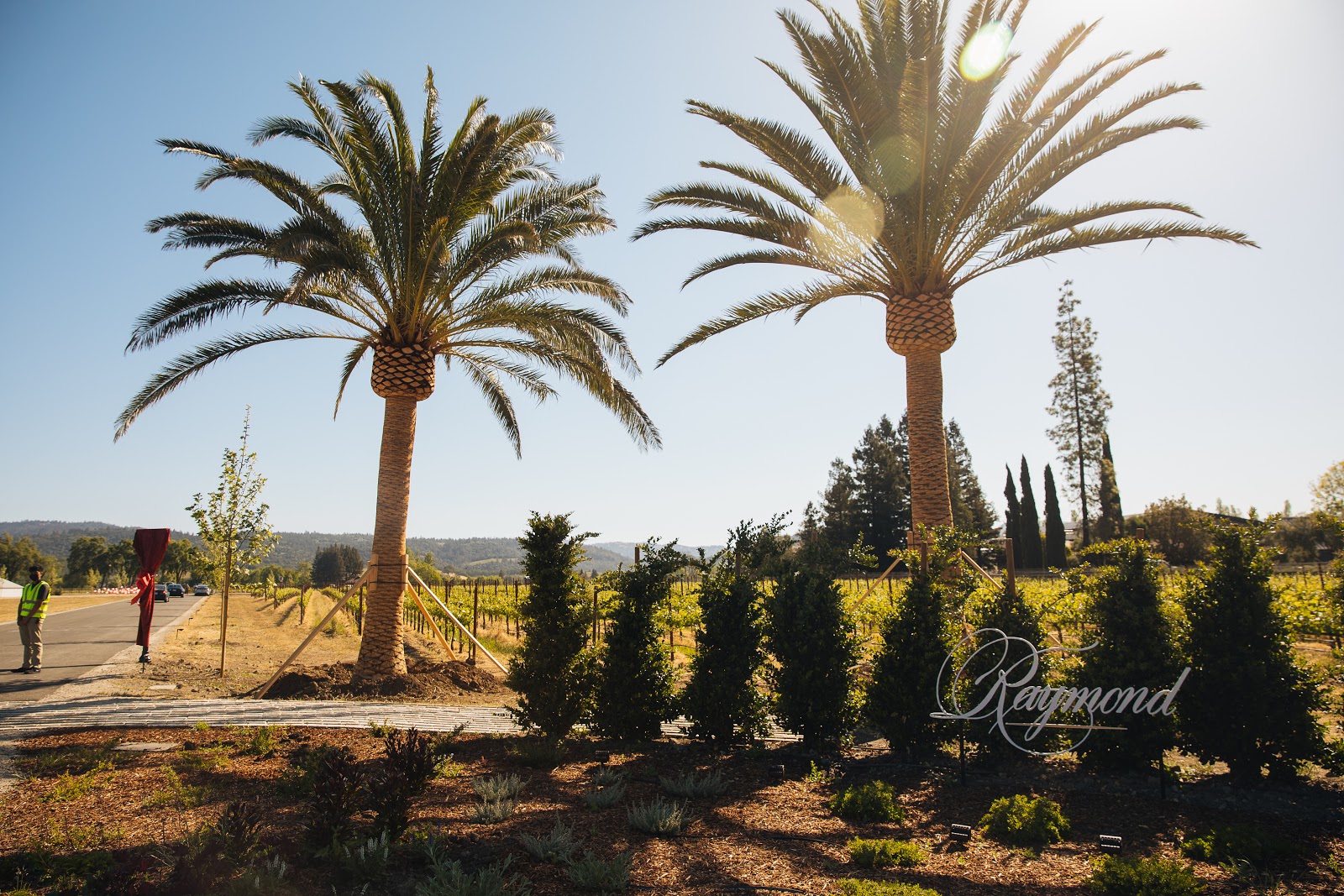 Raymond Vineyards