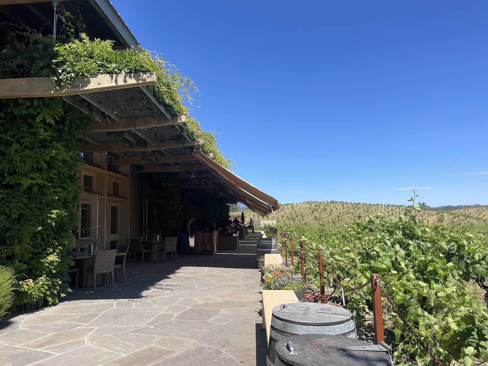 Photo of Ridge Vineyards (Lytton Springs)