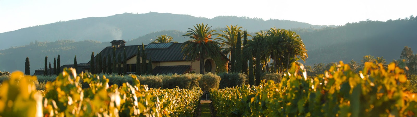 Round Pond Estate Winery