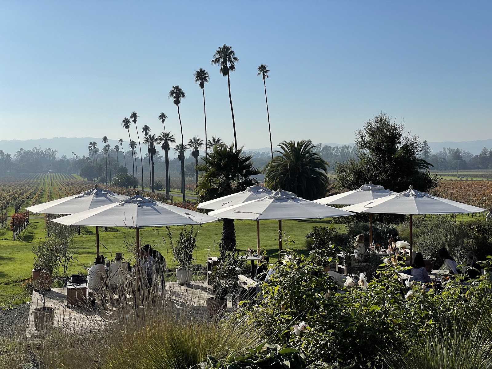Photo of Scribe Winery