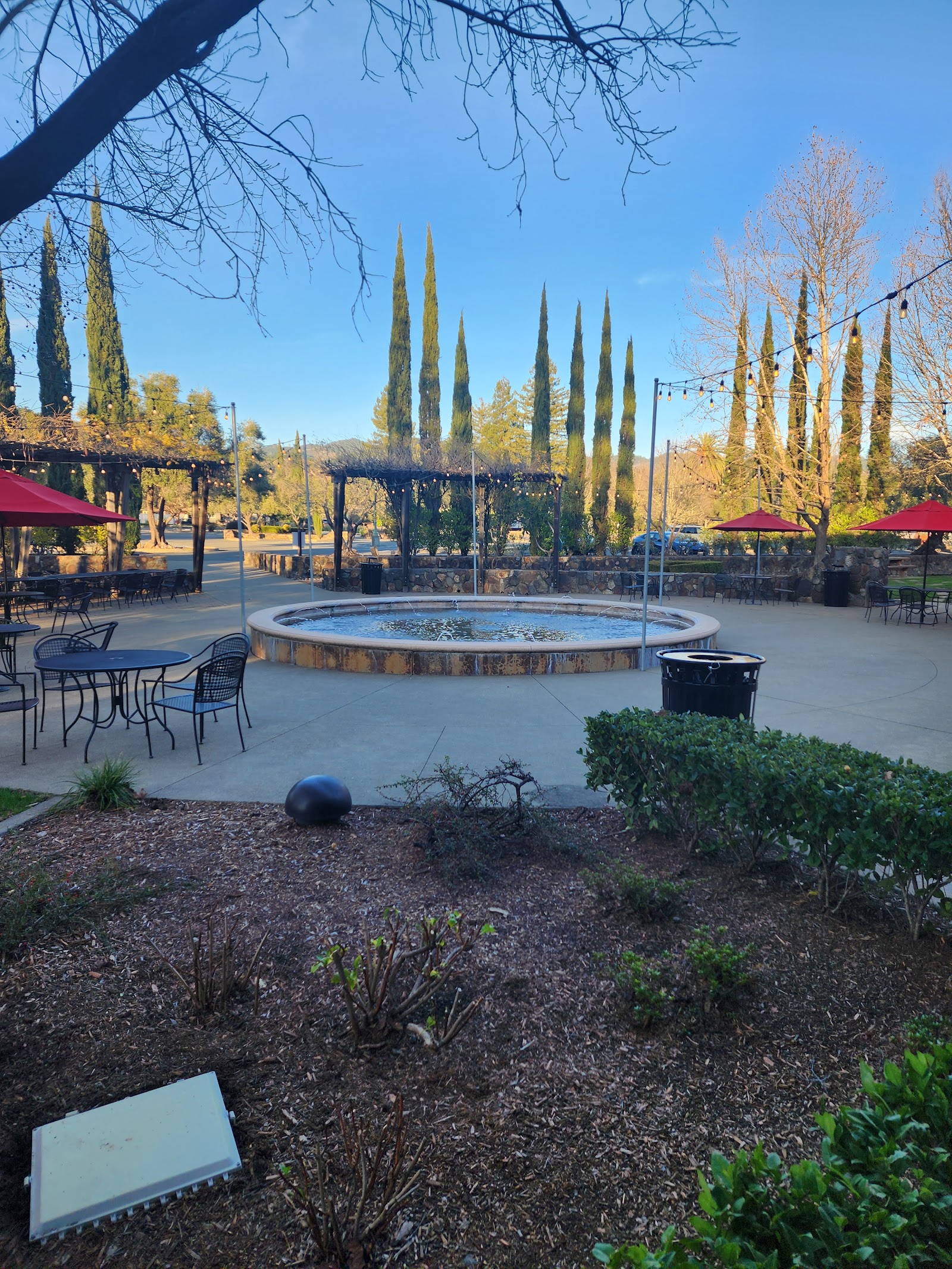 Photo of Sebastiani Vineyards & Winery