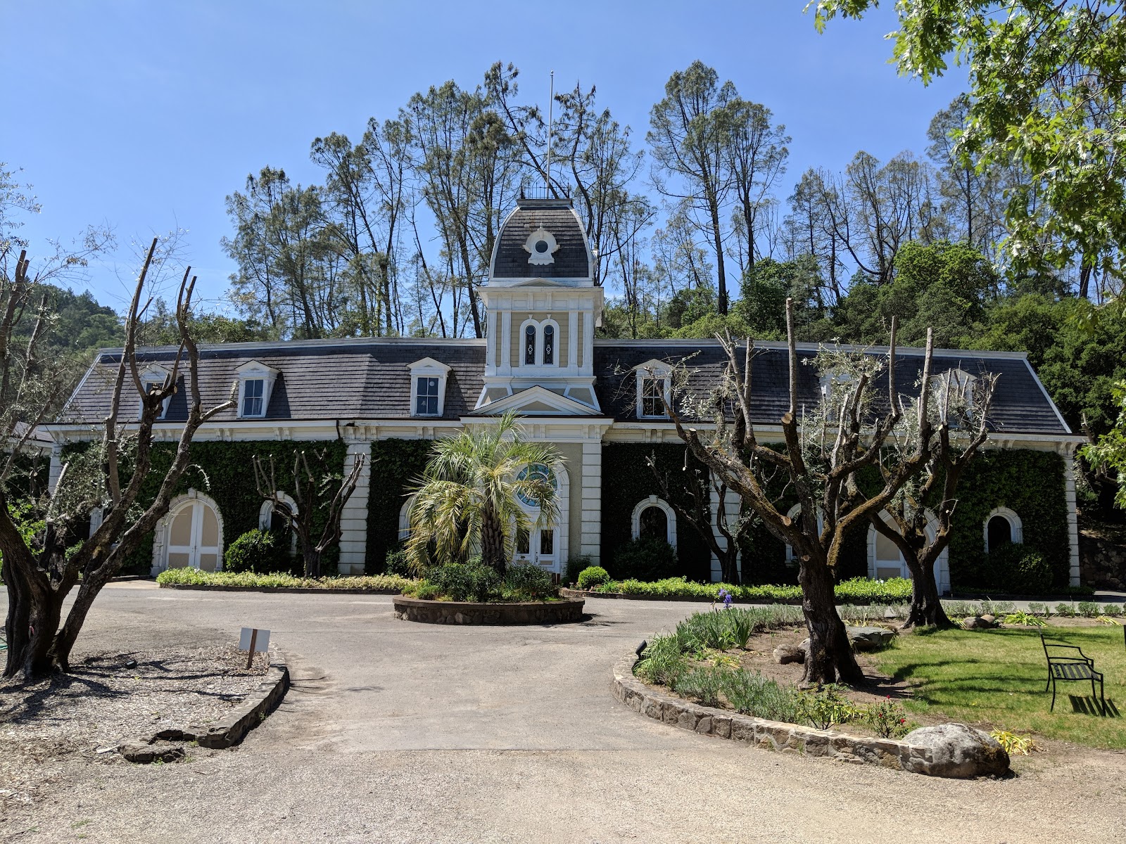 Photo of Spring Mountain Vineyard