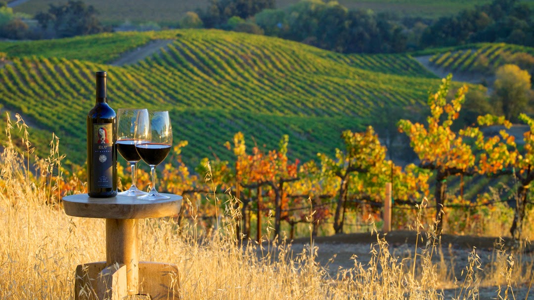 St. Supéry Estate Vineyards & Winery