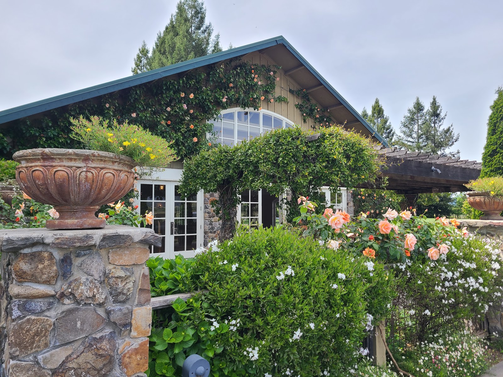 Photo of Trentadue Winery