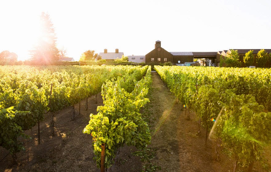 Turnbull Wine Cellars