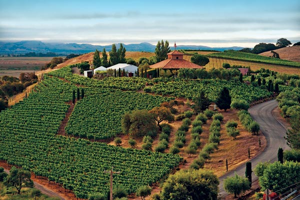 Photo of Viansa Winery
